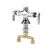 Picture of Encore Double Pantry Pre-Rinse Body (Single Hole, Polished Chrome, 2 Handle Faucet, Low Lead)