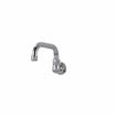 Picture of Encore® Brass Chrome Plated Wall Mount Spout Base with 6" Swivel Spout